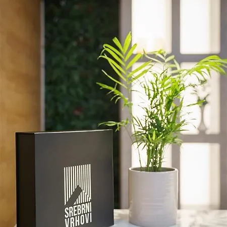 דירה Srebrni Vrhovi Penthouse *